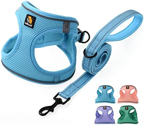 BELLA & PAL Puppy Harness with Leash Set, Dog Harness for Small Dogs No Pull, Dog Leash for Small Dogs, Step in Harness for Extra Small Dogs, Blue Harness, M