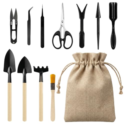 12 Pcs Bonsai Tools Small Gardening Tools Set for Succulent Plant Transplanting Mini Fairyland Garden Plant Care for Digging Transplanting and Weeding Indoor & Outdoor