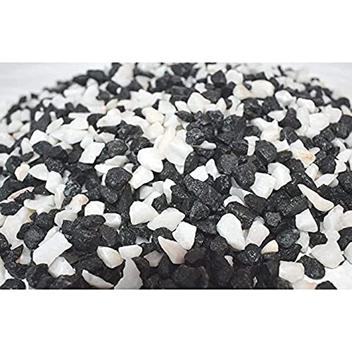 Image of Decorative Stones Marble Chips Pebble Stones for Aquarium Home Garden Indoor & Outdoor Decoration (White&Black, 4900gm)