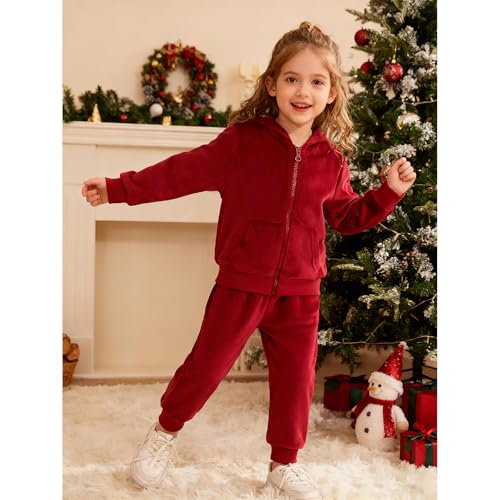 Image of Toddler Girls Boy Clothes Set Fleece Hooded Outfits Casual Sweatsuits Kids Jogger Tracksuits 6M-12Y