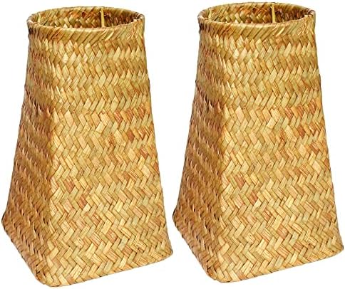 TICYACK Woven Vase for Home Decor, Kitchen/Boho/Farmhouse/Living Room Decor, Wedding Decorations, Set of 2 (Orange)