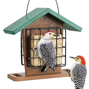 Kingsyard Recycled Plastic Double Suet Feeder with Rainproof Roof & Perch, Cage Suet Bird Feeders for Outdoors Hanging, Great for Woodpecker, Chickadee, Nuthatch (Green)