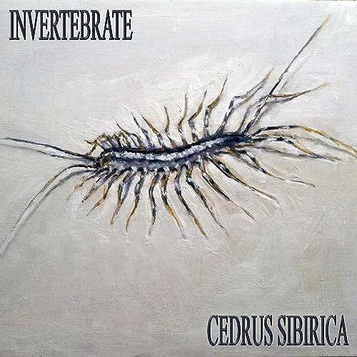  Invertebrate