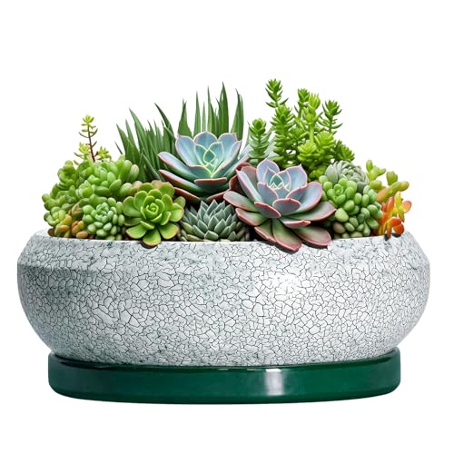 EPFamily Bonsai-Töpfe aus Keramik, 25,4 cm, mit Drainagelöchern und Untersetzern, Schwarzgrün – Ansicht 1