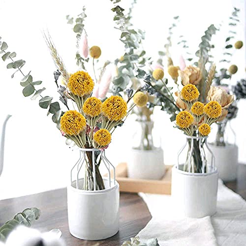 Xhxstore 40 Pcs Dried Flowers Bouquet Natural Craspedia Billy Balls Bulk Yellow Fake Flowers Dried Floral Arrangements For Wedding Centerpiecs Party Diy Home Decor (17 Inch) #TOP1