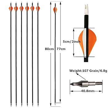 Amazon.co.jp: ZSHJGJR コンパウンドボウ 鉄球 鋼球 340FPS