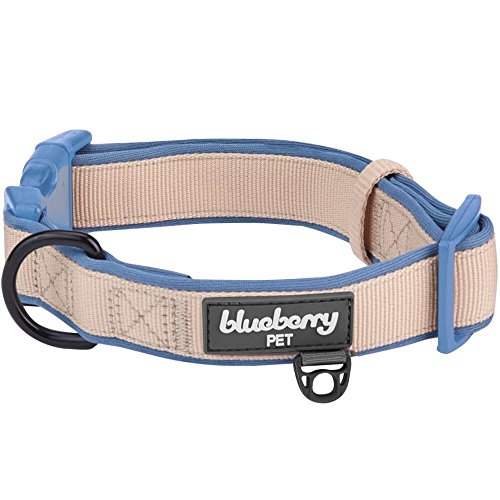 Blueberry Pet Weich & Angenehm Solide Gearbeitetes Klassisches Neopren Gepolstertes Hundehalsband in...
