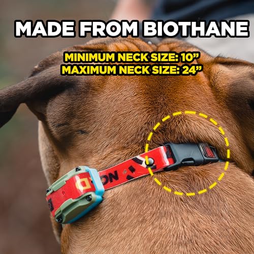 Image of Dogtra Tom Davis Quick Release 3 /4 inch Inch Strap with Buckle Waterproof Biothane for Remote Training E-Collar Easy Adjustable Comfortable for 280C 2.0 Receiver 28 inch - Red