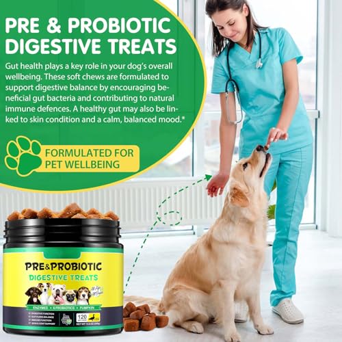 Probiotika Hunde, Hunde Probiotika für Darm Gesundheit (120 Stück, 370g), Probiotische Ergänzungen für Hunde - Hilfe Darmprobleme, Unterstützung der Immunfunktion, Saisonale Allergie, für Alle Hunde