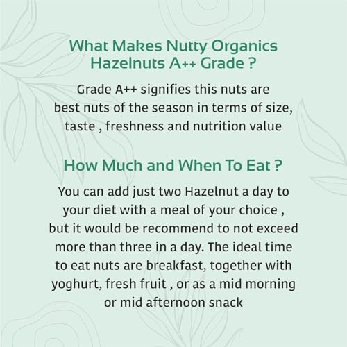 Image of NUTTY ORGANICS Premium Hazelnuts - 500 GM Unsalted and Crunchy | Excellent Source Of Omega 3