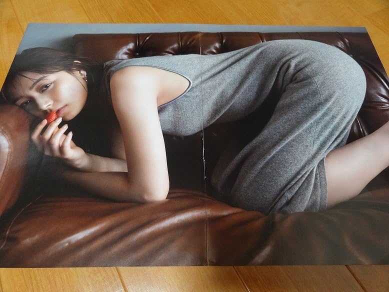 ▲限定1名様▲女子アナ▲宇垣美里▲切り抜きクリアブック2冊セット▲ラクマパック △限定1名様△女子アナ△宇垣美里△切り抜きクリアブック2