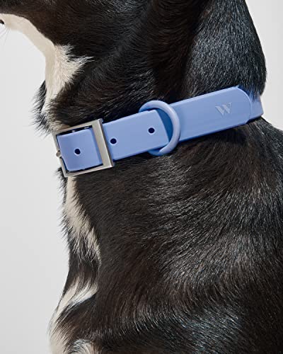 Collar Wild One X Grande Moonstone para perros grandes en color gris claro 4