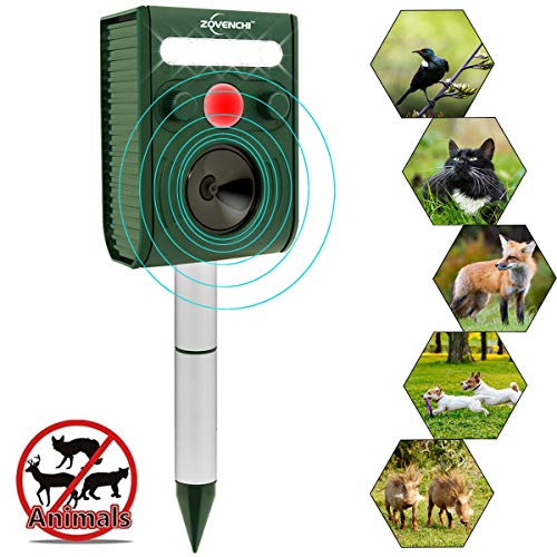 ZOVENCHI Ultrasonic Animal Pest Repeller Review Solar Panel America