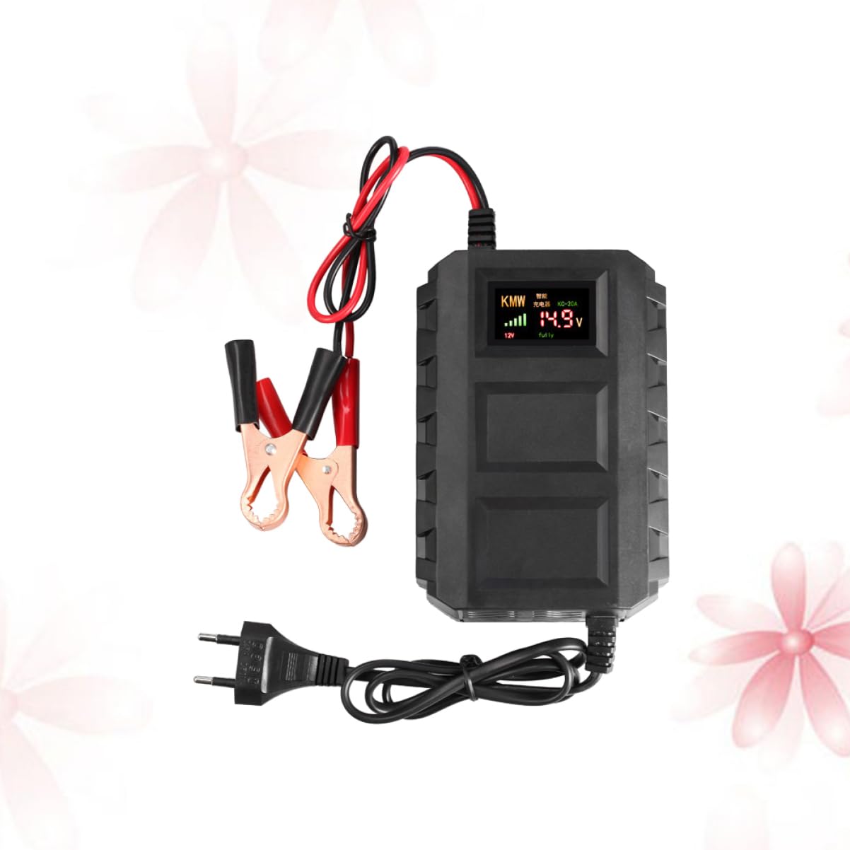 Chargeur de Batterie 12 V 20 A pour Moto, Protection Multiple