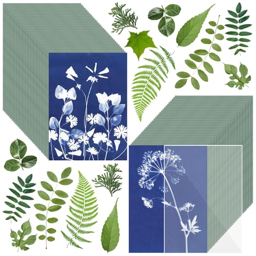 Sun Print Paper Kit Cyanotype Paper 60 Sheets Cyanotype Papers with 1 Sheet Acrylic Panel High Sensitive Nature Solar Activated Printing Art Supplies for Arts Crafts DIY Project