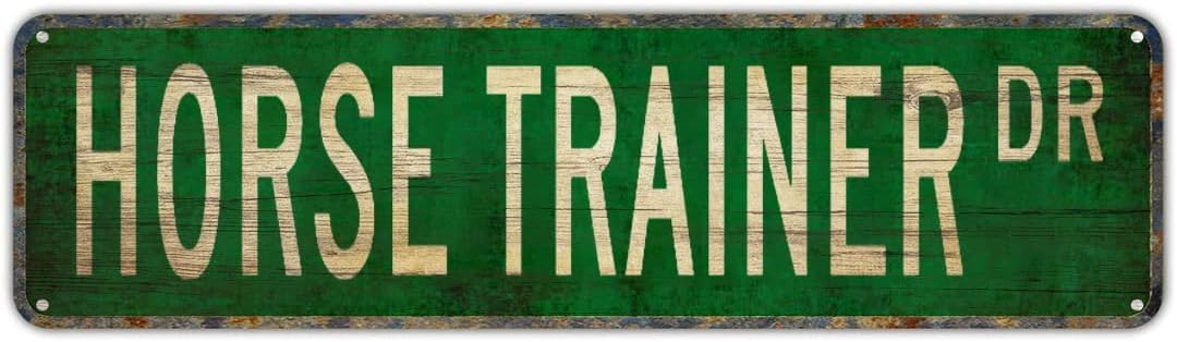 peiyeety Vintage Metal Tin Sign Horse Trainer Drive Street Sign, Retro Wall Decor for Home, Bar, Garage, Cafe, Man Cave, Stable, Farm, Rustic Wall Art for Indoor and Outdoor Decoration, 4x16 Inch