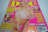 Swanks D-cup Busty Magazine 