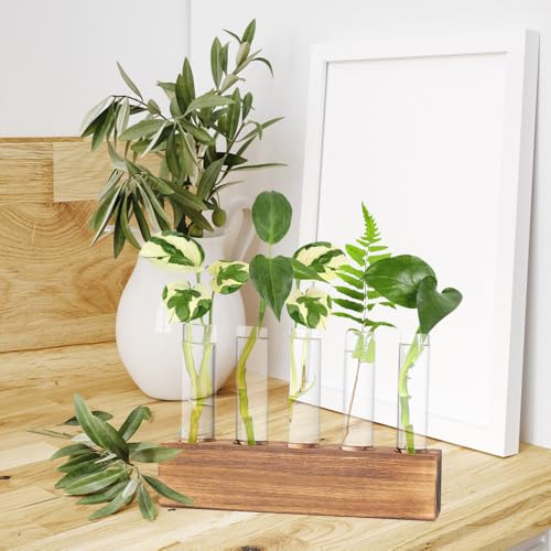 Station De Propagation, Vase en Verre pour Fleurs Terrarium, Hydroponie, Pot Planteur avec Support De Support en Bois pour Plantes Deau Verte Adapté pour La Maison Cuisine Tabl (5 Vases) – Image 6