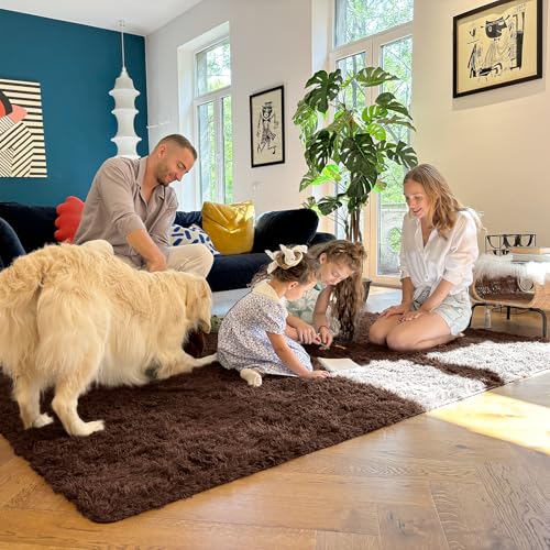 OLANLY 2x4 Machine Washable Runner Rugs for Hallway, Soft Fluffy Shaggy Bedside Rugs for Bedroom, Living Room, Indoor Floor Carpet for Kids Girls and Boys, Nursery Rooms, Home Decor Aesthetic, Coffee
