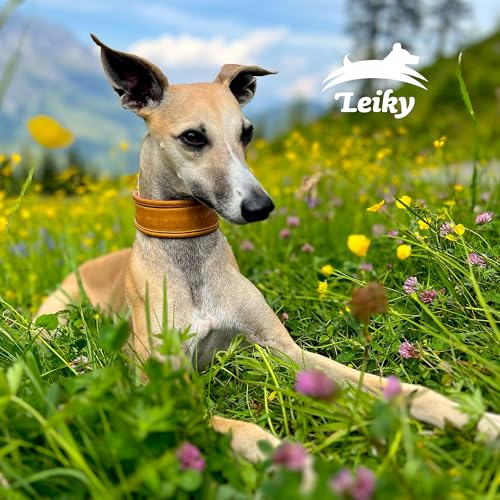 Leiky Käsewurst mit Bergkäse für Hunde, 28 x 100 g – schnittfeste Trainingswurst