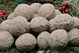 Anhaltiner Meisenknödel 100 Stück ohne Netz mit Insekten Vogelfutter Wildvogelfutter Meisenfutter eigene Produktion in Deutschland hergestellt