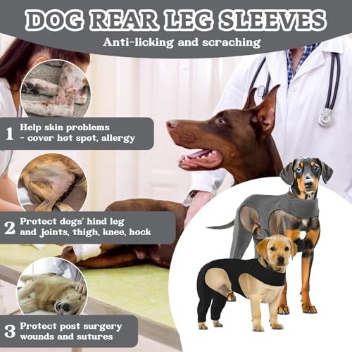 Hoclauho Hundeschutzanzug Nach OP mit Leckschutz Body für Hinterläufe Alternative zum E Kragen, OP Wundschutz Genesungshilfe ideal für postoperative Pflege Mobilitä