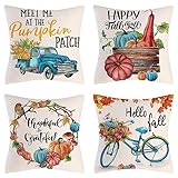 Funda Cojin 40x40cm Impermeable Cojines Exterior Suave Fundas Cojines Sofa, Bicicleta Coche Doble Cara Cuadrado Decoracion Hogar Moderno Funda Almohada para con Cremallera Oculta Azul 4 Piezas F-797