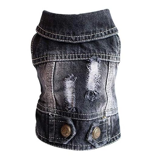Sild husdjurskläder, cool jeansjacka F R hundar av Blue Denim, kappa F R liten till medium gro hundar, kjol med slag, klassisk huva topp F R valpar, vintagekläder i blå
