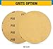 S SATC 100 PCS PSA Sanding Discs 6 Inch Adhesive Backed Sandpaper 80 Grit Sander Attachment for Drill Self Stick Aluminum Oxide Round Automotive Sandpaper with Sticky Back