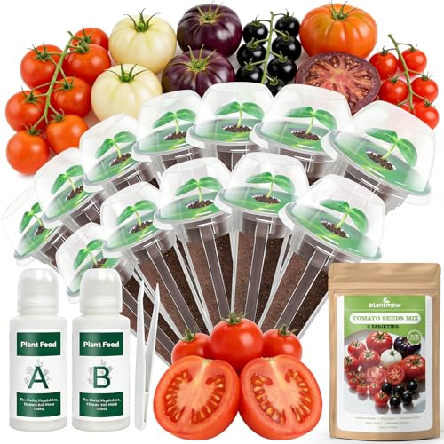 12 Pods Tomato Green Seed Pod Kit for AeroGarden Ahopegarden Hydroponics Growing System 3300+ Seeds of Cherry Tomato Beefsteak Black Cherry Cherokee Purple Sweet Million Brandywine