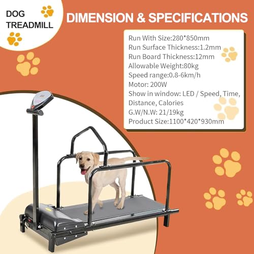 Hundelaufband für große Hunde mit Anzeigebildschirm, Dogpacer-Laufband, Lauftraining Gerät für Hunde im Innen- und Außenbereich, 80 kg/176 lbs Tragkraft