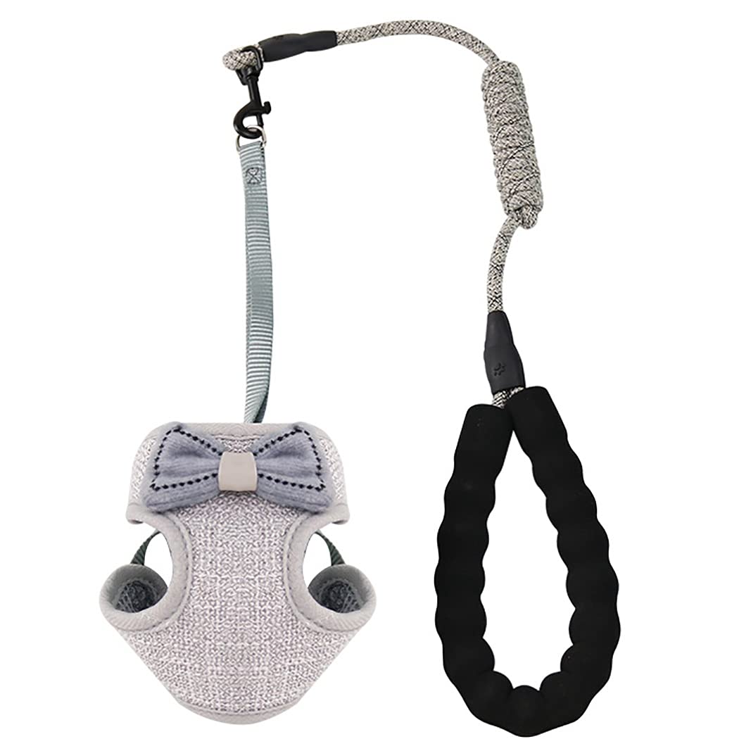 Harnais et Laisse pour Chat, Harnais Gilet Respirant Anti-Fuite, Laisse pour Animal de Compagnie avec nœud décoratif