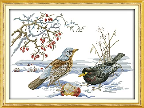 Peinture au diamant 5D adultes kit broderie strass cristal oiseau neige