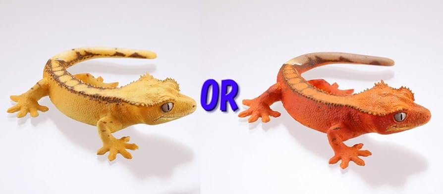 【新品・未開封】 ヤモリ大全Ⅱ クレステッドゲッコー フルコンプセット Amazon.co.jp: 海洋堂 ヤモリ大全Ⅱ 2 4種セット クレステッド