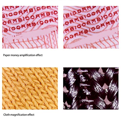 Image of Skin Analyzer Hair Scalp Detector 800X Magnification Portable USB Microscope with 8pcs Light Chips for Skin and Hair Detection (Black)