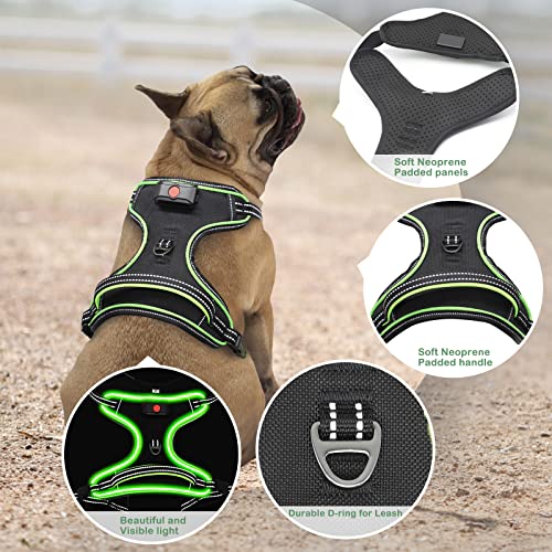 Image of Light Up Dog Harness, Rechargeable LED Dog Vest for Night Walking