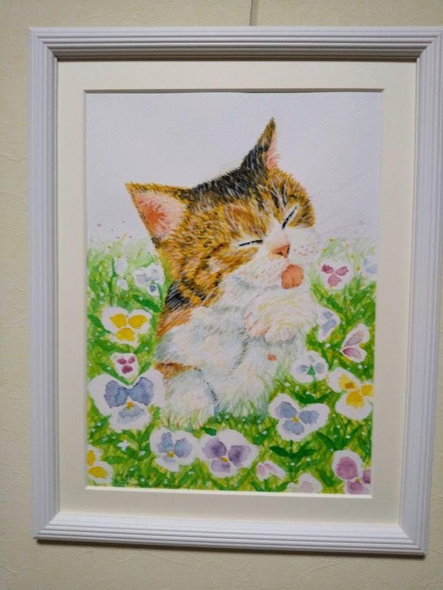 Amazon.co.jp: アサちゃんの毛づくろい X : ペット用品