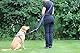 Activity4Dogs Anti-Slip Hundeleine aus Nylon | rutschfest | 2,80 m lang | 4-Fach verstellbare Führleine | für mittelgroße und große Hunde | Lila | Made in Germany