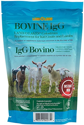 Land O Lakes 2094074 Lamb & Kid's Colostrum Replacement9 feedings