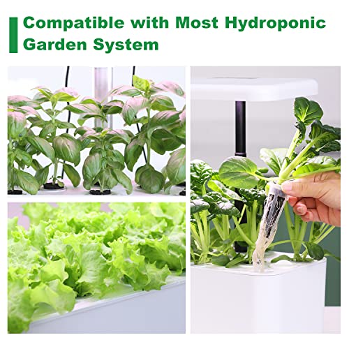 77pcsseedpodkitforaerogardenandallhydroponicsystemolizgrowanythingkitwith12growsponges12growbaskets12growdomes24domelabels12podlabels4abplantfood1tweezers  Urban Country Home Decor 77pcs seed pod kit for aero garden and all hydroponic system oliz grow anything kit with 12 grow sponges 12 grow baskets 12 grow domes 24 dome labels 12 pod labels 4 ab plant food 1 tweezers  urban country home decor