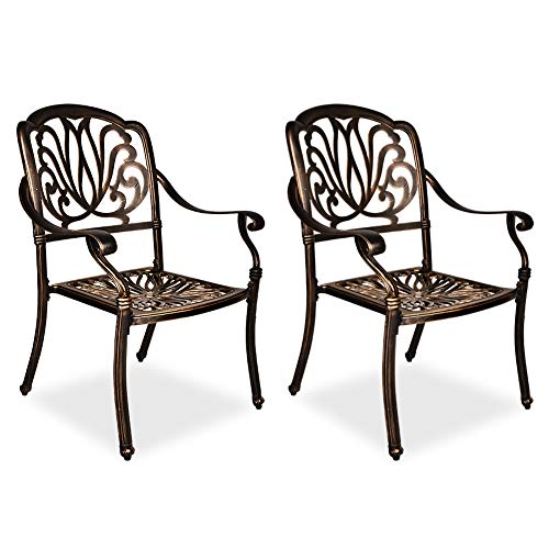 TITIMO 2 Piece Outdoor Bistro Dining Chair Set Cast Aluminum Dining