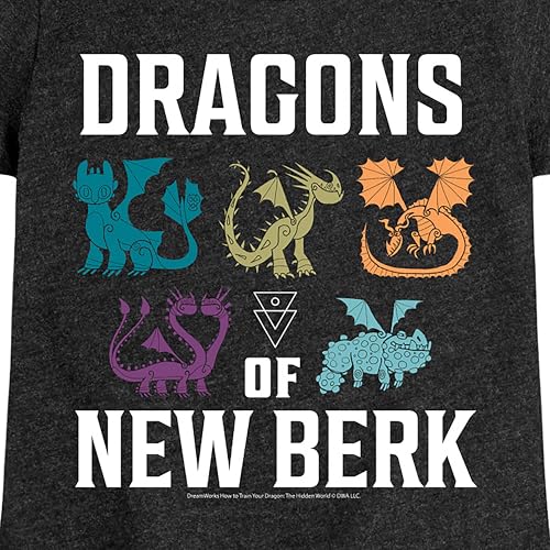 How to Train Your Dragon - Dragons of New Berk - Toddler & Youth Girls Short Sleeve Graphic T-Shirt3