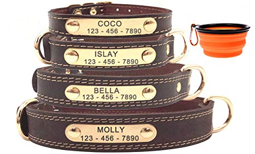 Premium Personalized Custom Leather Dog Collar with Engraved Nameplate ID