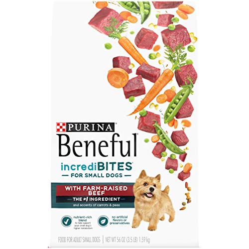 Best Dog Foods for Maltipoo of 2022: Top Recommendations 3