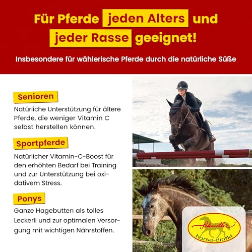Scheidler horse-direkt Hagebutten getrocknet für Pferde 2kg – Ganze Hagebutte in Spitzenqualität – 100% Natürlicher Vitamin C Booster – Ideales Pferdeleckerli/Zusatzfutter ohne Zuckerzusatz