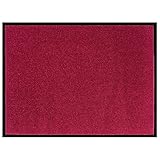 Hanse Home Waschbare In- & Outdoor Fußmatte Uni einfarbig Fußabtreter Schmutzfangmatte Türmatte Schmutzfänger Eingangsteppich Anti-Rutsch Größen, Größe:90x150 cm, Farbe:Rot