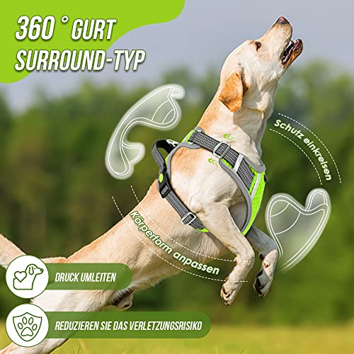 Eyein Hundegeschirr für Kleine Mittelgroße Hunde, Air Mesh Atmungsaktiv Brustgeschirr mit weichem Griff und Abschließbare Karabiner, ausbruchsicher reflektierend Hund Geschirr für Welpen, Grün, S