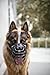 Dingo Gear Gummierte metallmaulkorbe für Rottweiler Hündin Professionelle Bequeme universelles Produkt für Langen Spaziergängen S03045