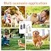 2 Stück Ellenbogenbandage Hund, liegeschwielen Hundebody Nach Op, Kniebandage Hund Hinterbein, Pfotenschutz Hund, Mittelgroße und Große Hunde Chirurgie Erholung Recovery Sleeve für Vorderbeine (XL)