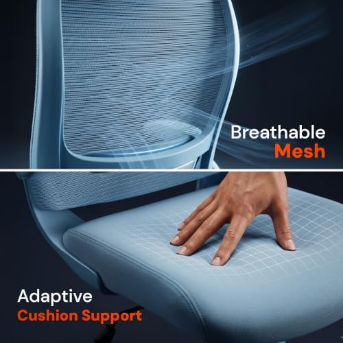 Image of DROGO Chrono Ergonomic Office Chair for Work with Adjustable Lumbar Support | Curved Back Breathable Mesh | Computer Chair With 135 Recline |2D Padded Armrests & Heavy Nylon Base, 1-Yr Warranty(Blue)